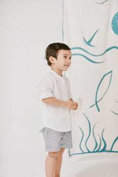 Bermuda Ray Grey Linen