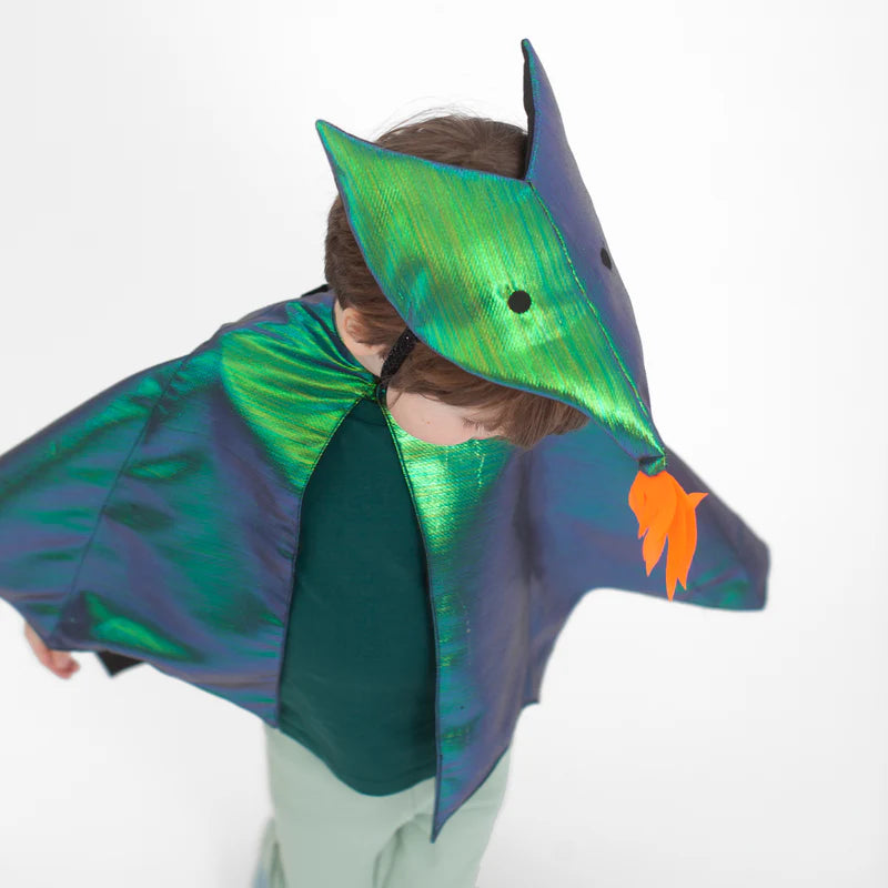 Dragon Costume