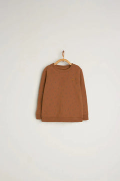 Conj. Buzo Con Jogger Explorer