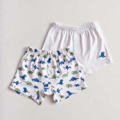 Boxer Set X2 Dino T